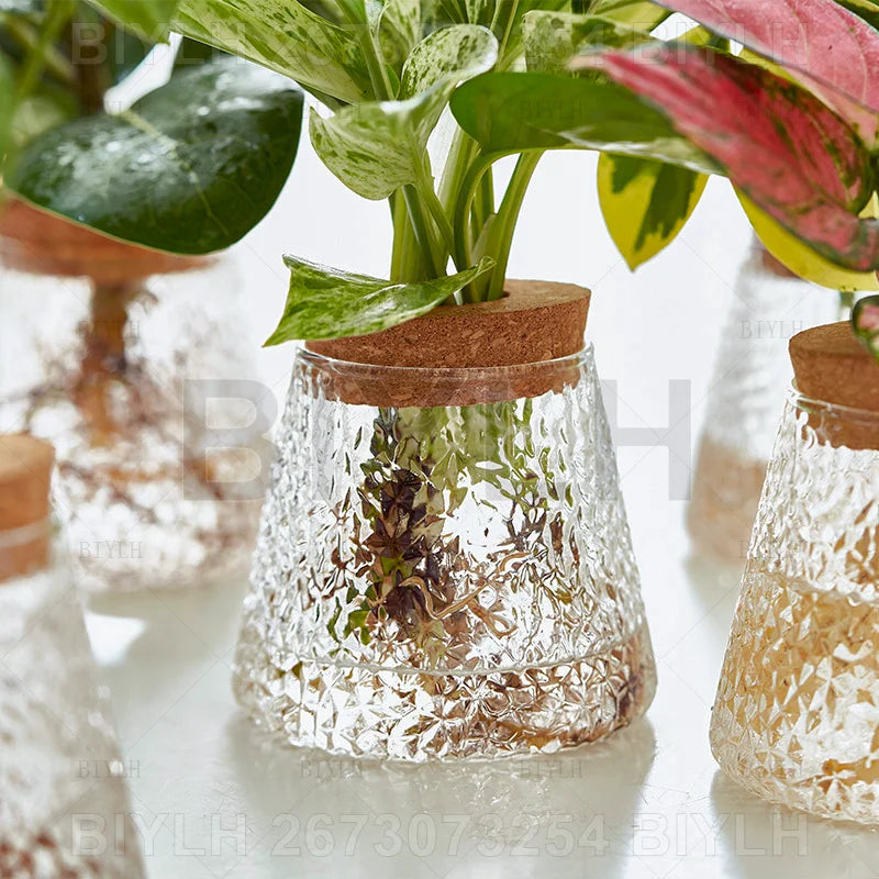 Hydroponic Glass Flower Pots - Transparent Small Vase with Base Tray for Home Decoration