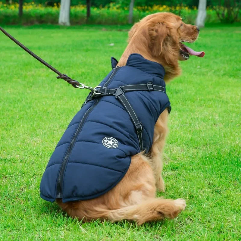 ZOOMNSTORE