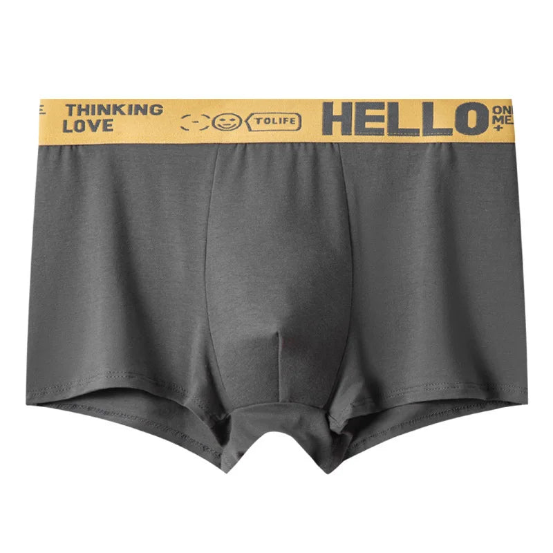 1/5pcs Men's Underwear, Breathable Comfy Quick Drying Stretchy Boxer Trunks, Sexy Underpants, Men's Trendy Boxer Panties