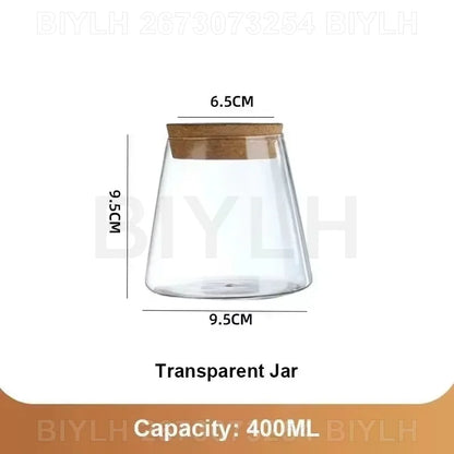 Hydroponic Glass Flower Pots - Transparent Small Vase with Base Tray for Home Decoration