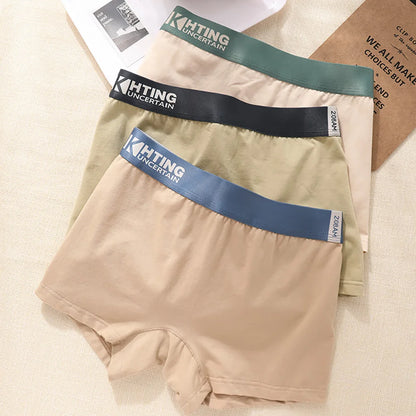 3PCS/Pack 100% Cotton Breathable Antibacterial Women's Panties Comfortable Soft Lingerie High Elastic Waistband Female Underwear