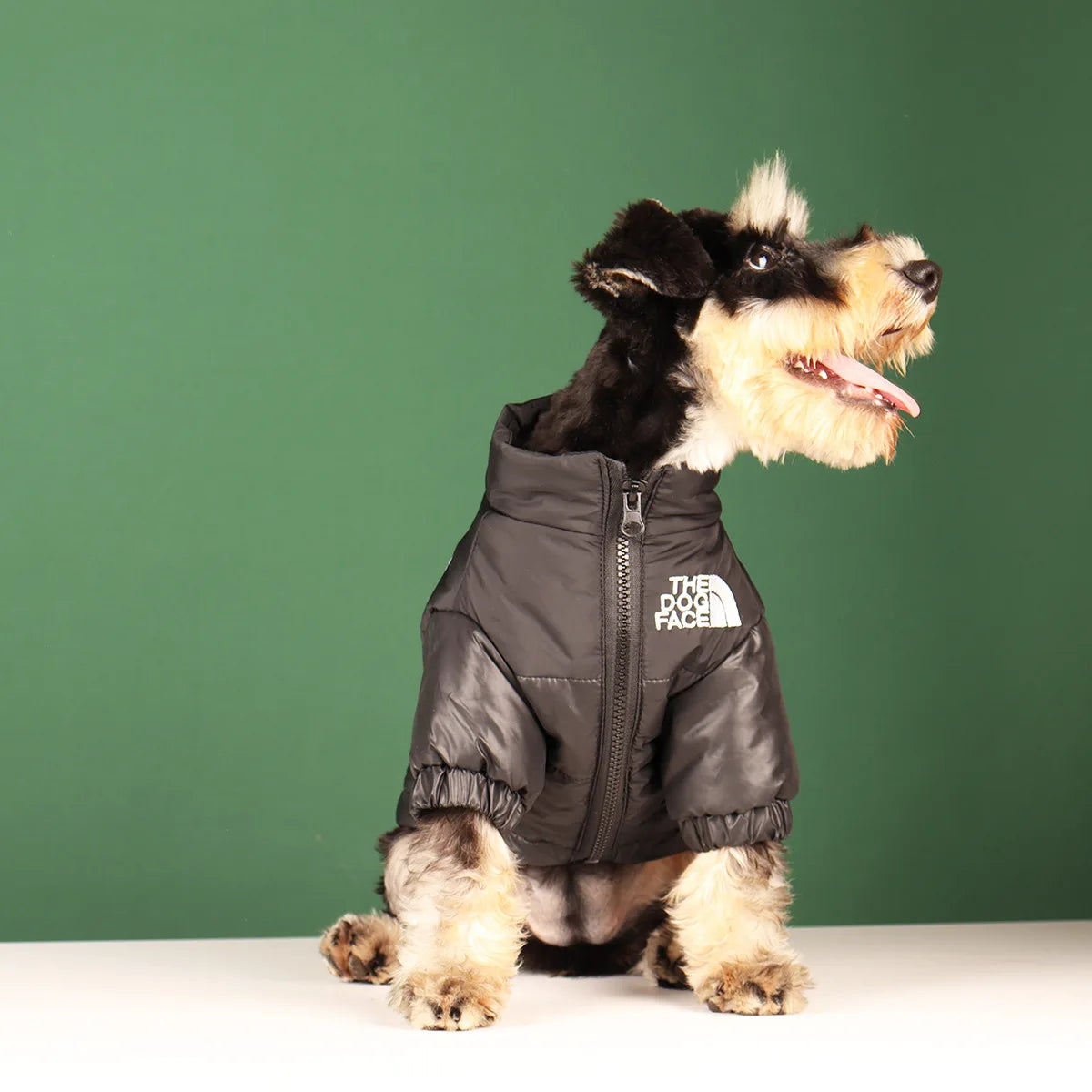 ZOOMNSTORE