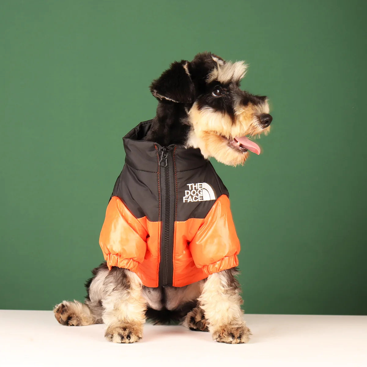 ZOOMNSTORE