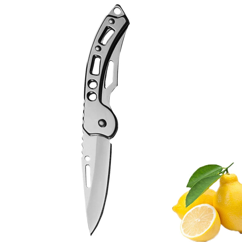 Stainless Steel Folding Fruit Knife with Keychain - Non-Slip Pocket Slicing Knife