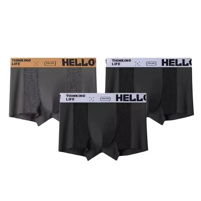 3PCS/LOT Men's Underwear Breathable Mesh Man Underpants Male Thin Sexy Boxers Men Panties Boxer Shorts Ice silk