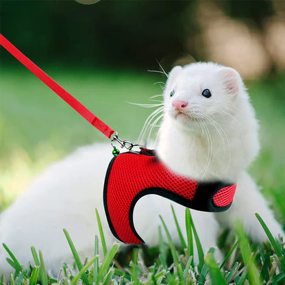 Mesh Breathable Ferret Bunny Harness Leash Set for Small Animals Rabbit Hamsters Summer Walking Pet Lead Mascotas Accessories
