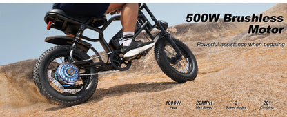 VDL Mountain Electric Bike , 16" Fat Tire Ebike, Wider Seat 250W Peak Motor, Removable Battery, Front Fork Suspension