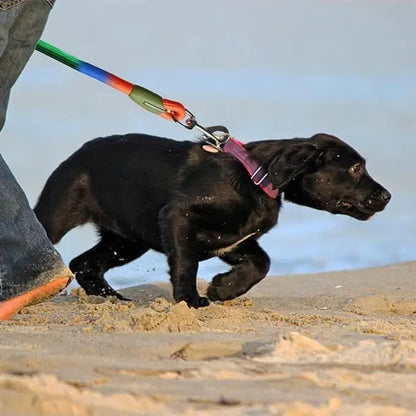 Adjustable Hands-Free Dog Leash, Suitable for Hiking, Walking, and Running - Reflective, Comfortable Elastic Leash in Various Colors (Orange, Pink, Black, Blue, Purple) - Durable Polyester Fiber, Machine Washable, Hiking Acce