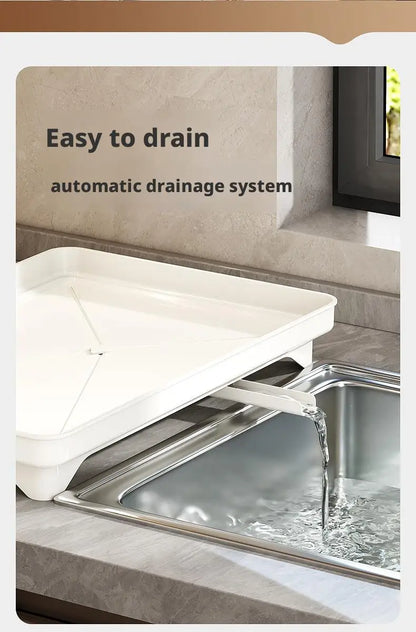 Dish Drying Rack - 2 Tier Stainless Steel Over Sink Shelf with Utensil Holder