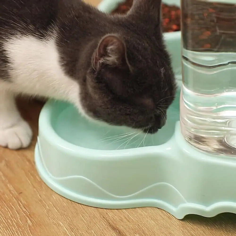 Automatic For Dog Water Drinking Cat Feeding Corner Dog Bowl Pet Feeder Dog Food Dispenser Drinking Bowl