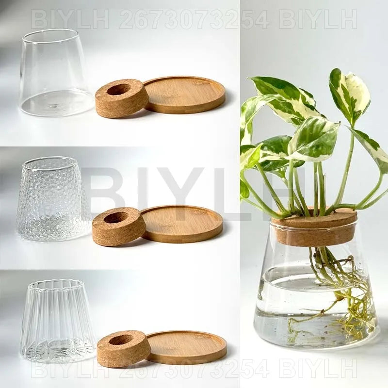 Hydroponic Glass Flower Pots - Transparent Small Vase with Base Tray for Home Decoration