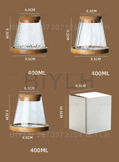 Hydroponic Glass Flower Pots - Transparent Small Vase with Base Tray for Home Decoration