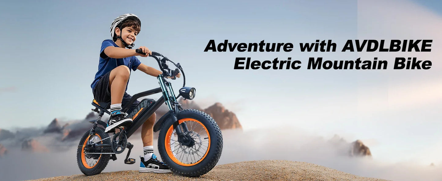 VDL Mountain Electric Bike , 16" Fat Tire Ebike, Wider Seat 250W Peak Motor, Removable Battery, Front Fork Suspension