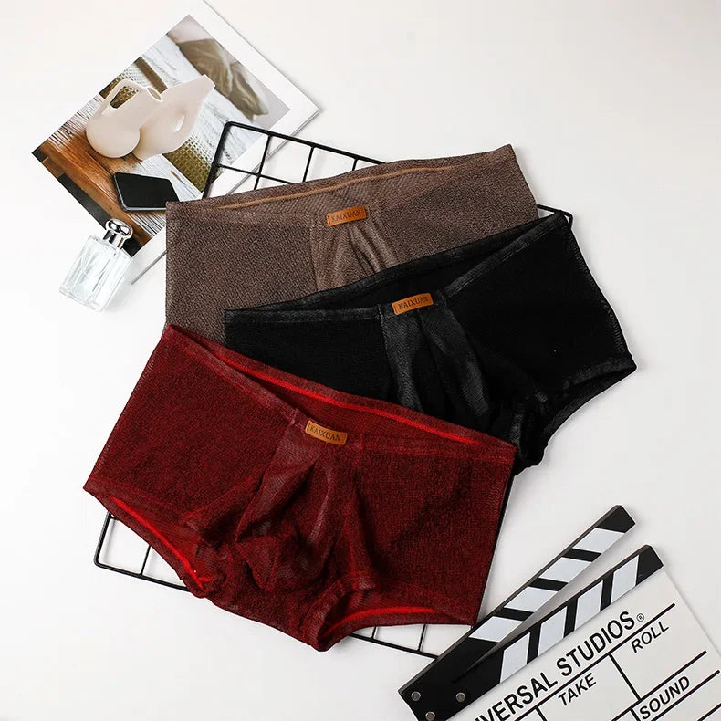 Men's Ice Silk Mesh Boxer Briefs Ultra-thin Breathable Cool Quick Dry Underwear Soft Comfortable Panties for Summer Daily Wear