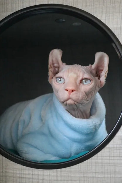 Fashionable Clothes For Cats Sphynx Cat Sweater Kitten Clothing Hound Dog Hoodie Clothes For Sphinx Cat Outfit Pet Jumpsuits