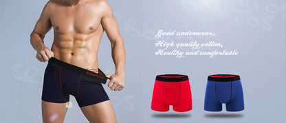 5Pcs Men's Panties Cotton Boxer Sexy Man Boxers Underwear Shorts Lots Male Boxershorts Set Family Underpants Brands