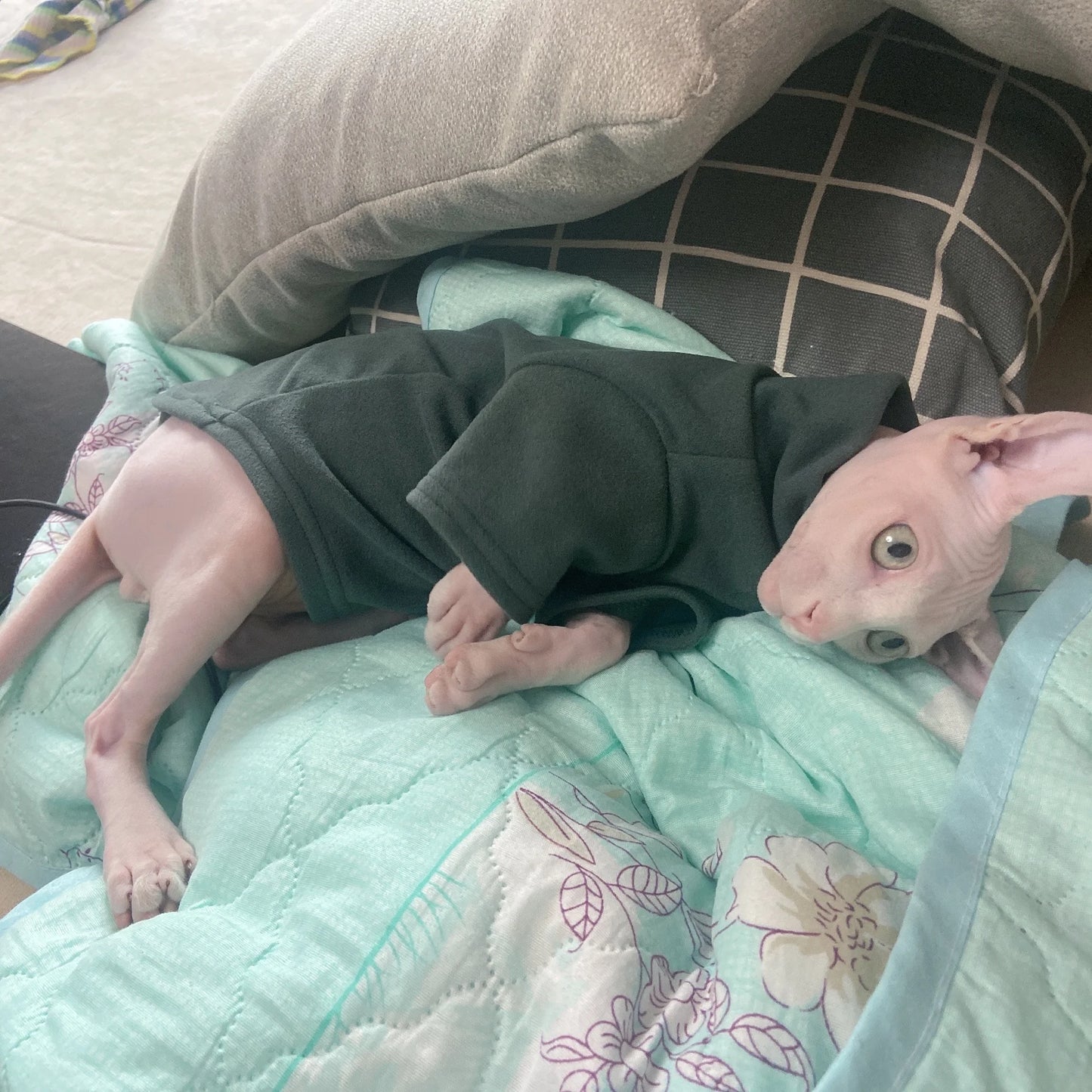 Sphynx Cat Clothes Baby Soft Cotton Fall Winter Kitten Small Dog Clothes for Cornish Devon Cat Costume Hairless Pet Clothes