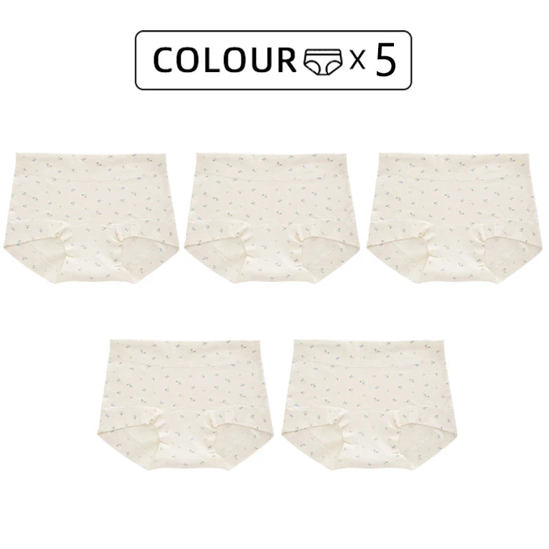 FallSweet 5/10PCS Plus Size Cotton Panties Seamless Women Mid-Rise Underwear Soft Breathable Underpants Briefs Female Lingerie