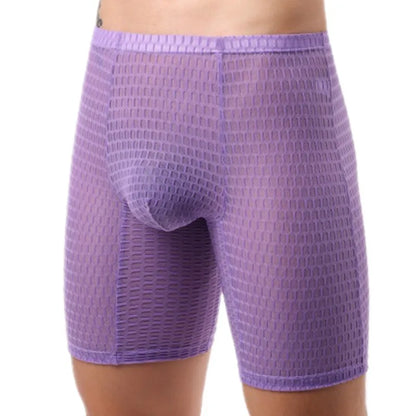 Mens Underpant Solid Transparent Mesh Boxers Shorts Man Soft Lace Underwear Breathable U Convex Pouch Panites Cueca Calzoncillo