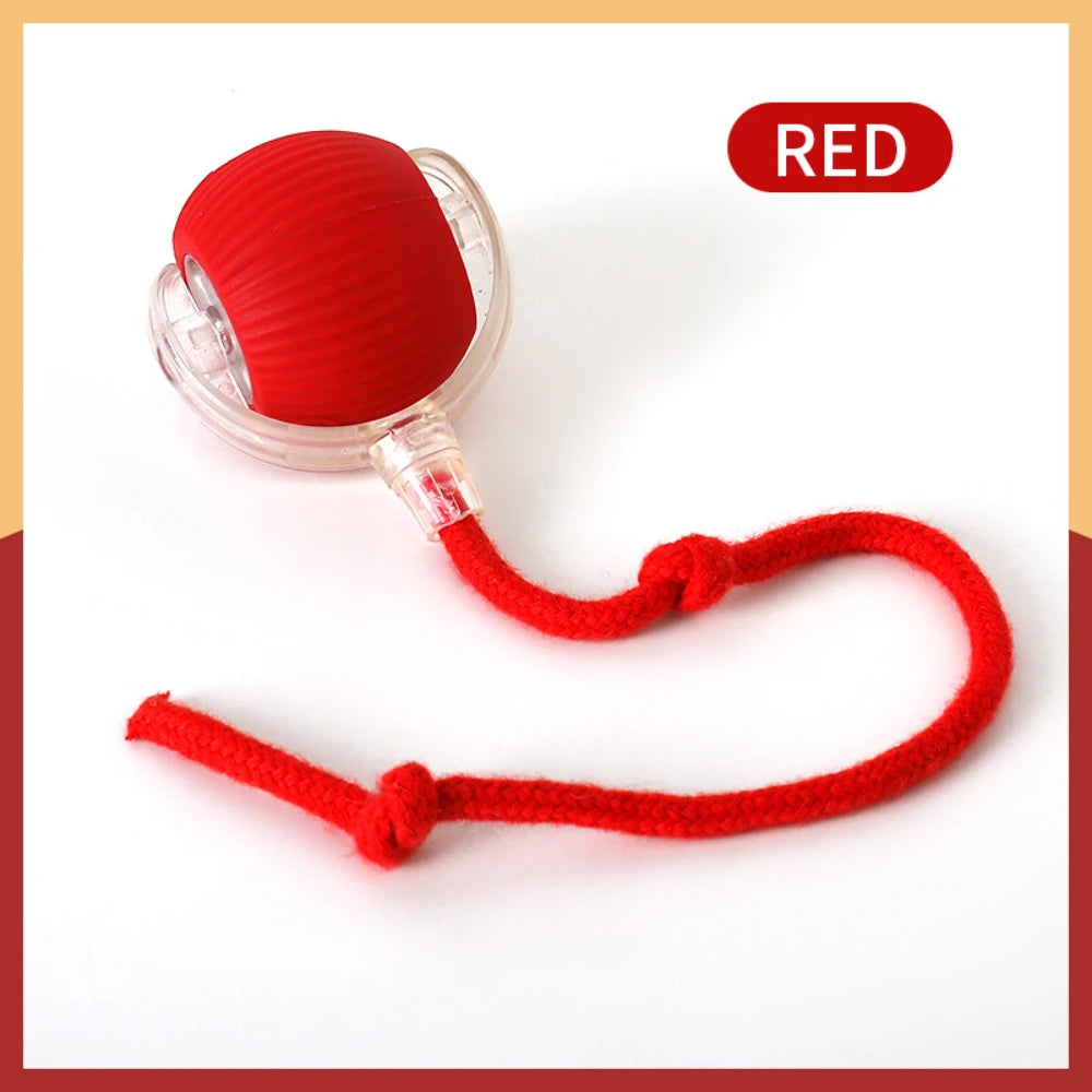 Automatic Rolling Cat Ball – USB Rechargeable Smart Pet Toy with Tail Lamp