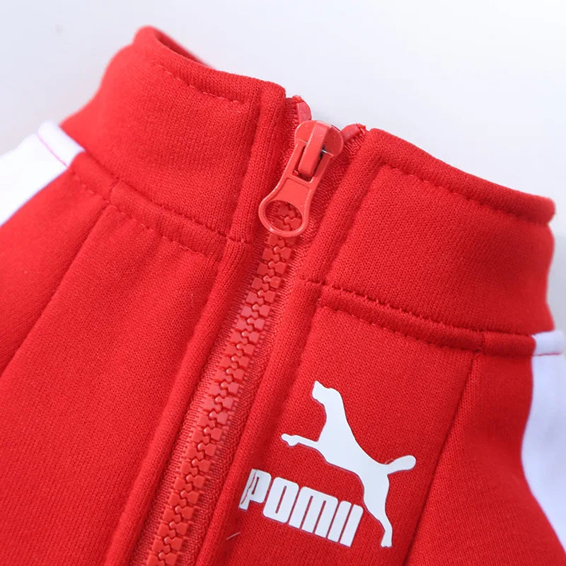ZOOMNSTORE