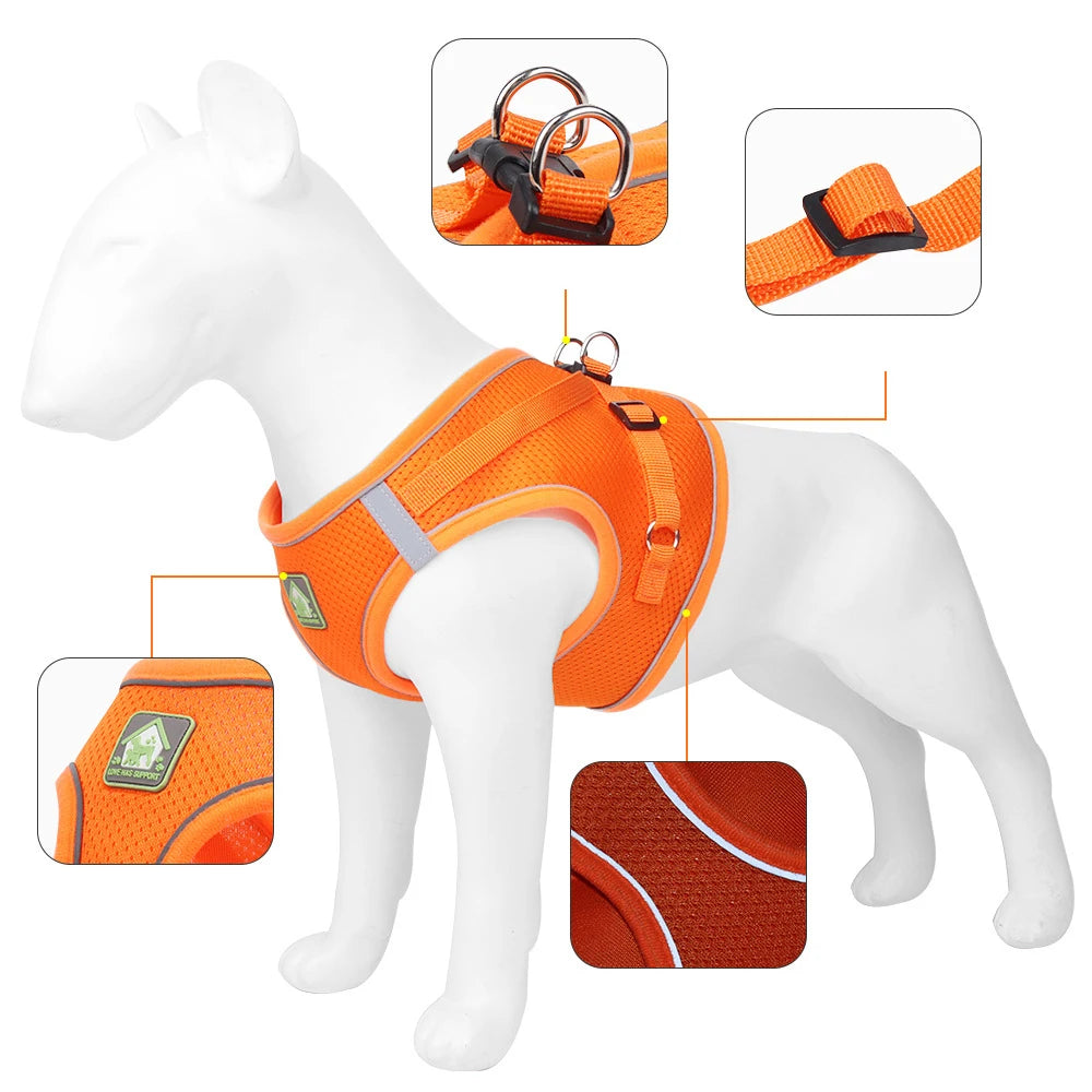 ZOOMNSTORE