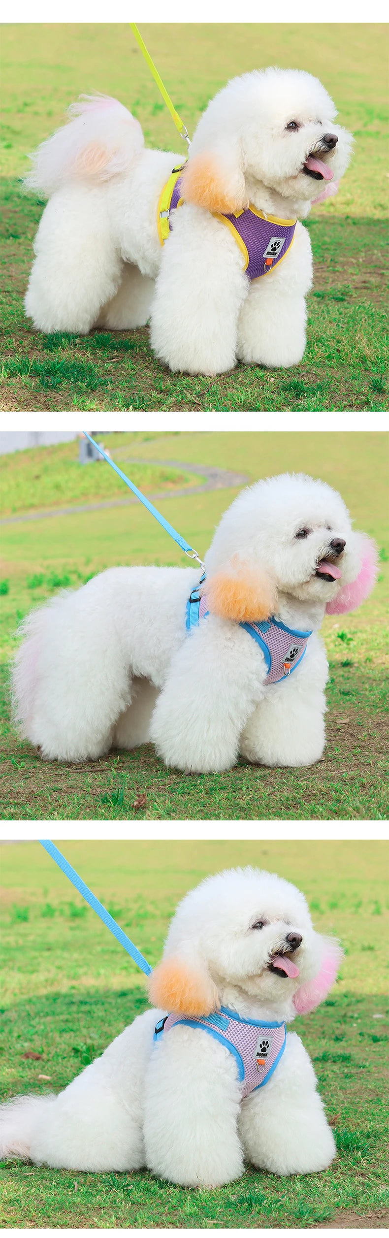 Two-tone Cat Small Dog Harness and Leash Set Breathable Mesh Reflective Escape Proof Puppy Kitten Walking Vest Style Pet Harness