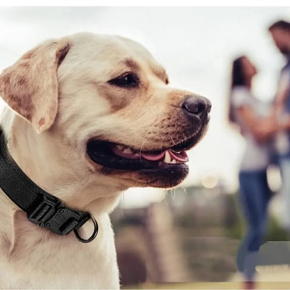 Tactical Dog Collar Leash Set Heavy-duty Military Dog Collar with Handle and Metal Buckle for Small Medium Large Dogs Necklace