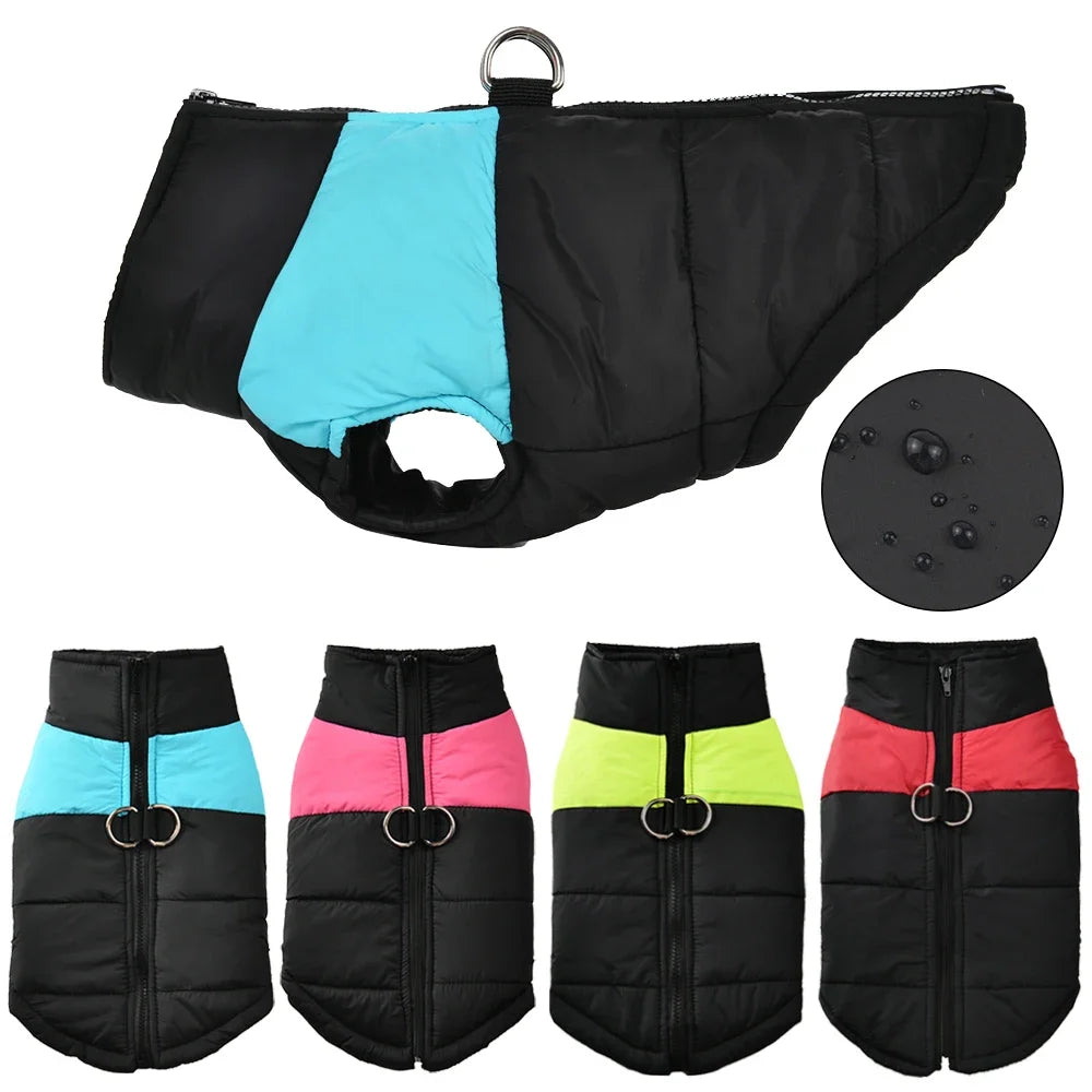 ZOOMNSTORE
