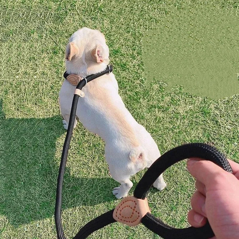 New Heavy Duty Dog Leash Slip Rope Lead Adjustable Braided Loop Collar Training Leash for Small to Medium Dogs