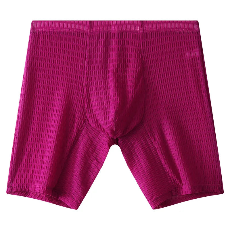 Mens Underpant Solid Transparent Mesh Boxers Shorts Man Soft Lace Underwear Breathable U Convex Pouch Panites Cueca Calzoncillo