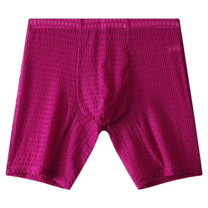 Mens Underpant Solid Transparent Mesh Boxers Shorts Man Soft Lace Underwear Breathable U Convex Pouch Panites Cueca Calzoncillo