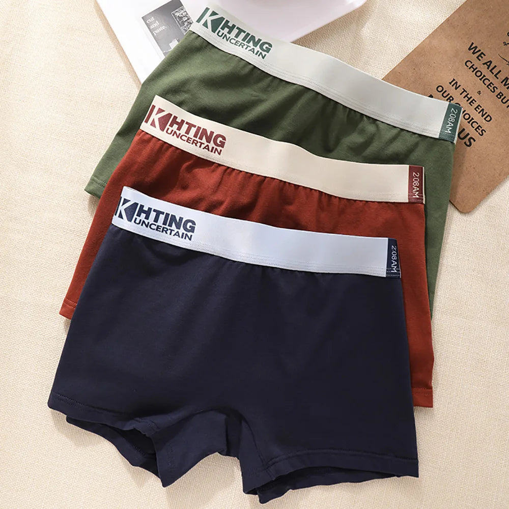 3PCS/Pack 100% Cotton Breathable Antibacterial Women's Panties Comfortable Soft Lingerie High Elastic Waistband Female Underwear