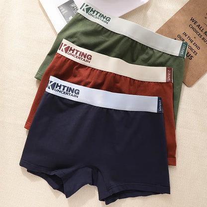3PCS/Pack 100% Cotton Breathable Antibacterial Women's Panties Comfortable Soft Lingerie High Elastic Waistband Female Underwear