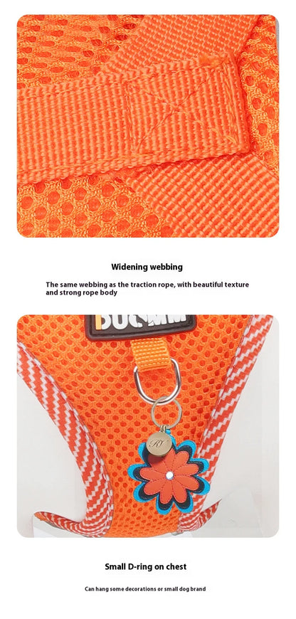 Breathable Reflective Dog Harness for Small Medium Dogs Cats Patterned Comfortable Adjustable Pet Vest with Leash