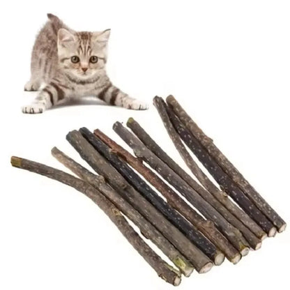 15pcs Natural Matatabi Cat Catnip Toy Kitten Molar Chew Stick Pet Cleaning Teeth Cat Treat Toy Actinidia Silvervine Pet Products