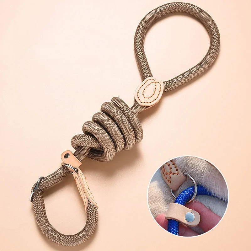 Dog Leash Slip Rope Lead Leash Heavy Duty Braided Rope Adjustable Loop Collar Training Leashes for Small Medium Dogs