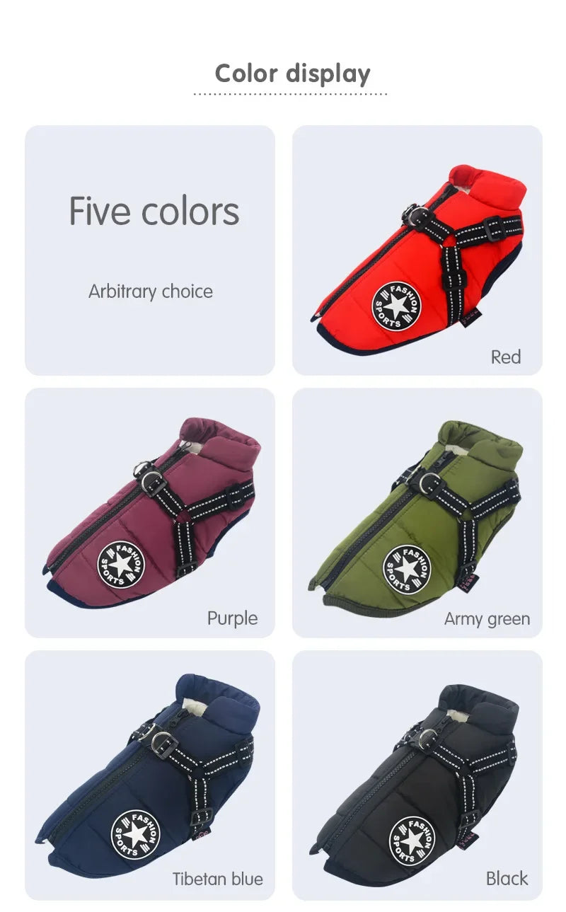 ZOOMNSTORE