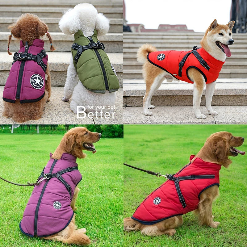 ZOOMNSTORE