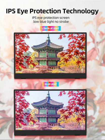 15.6 Inch Portable Monitor - 1080P HD Display With HDR10, IPS Screen & USB C