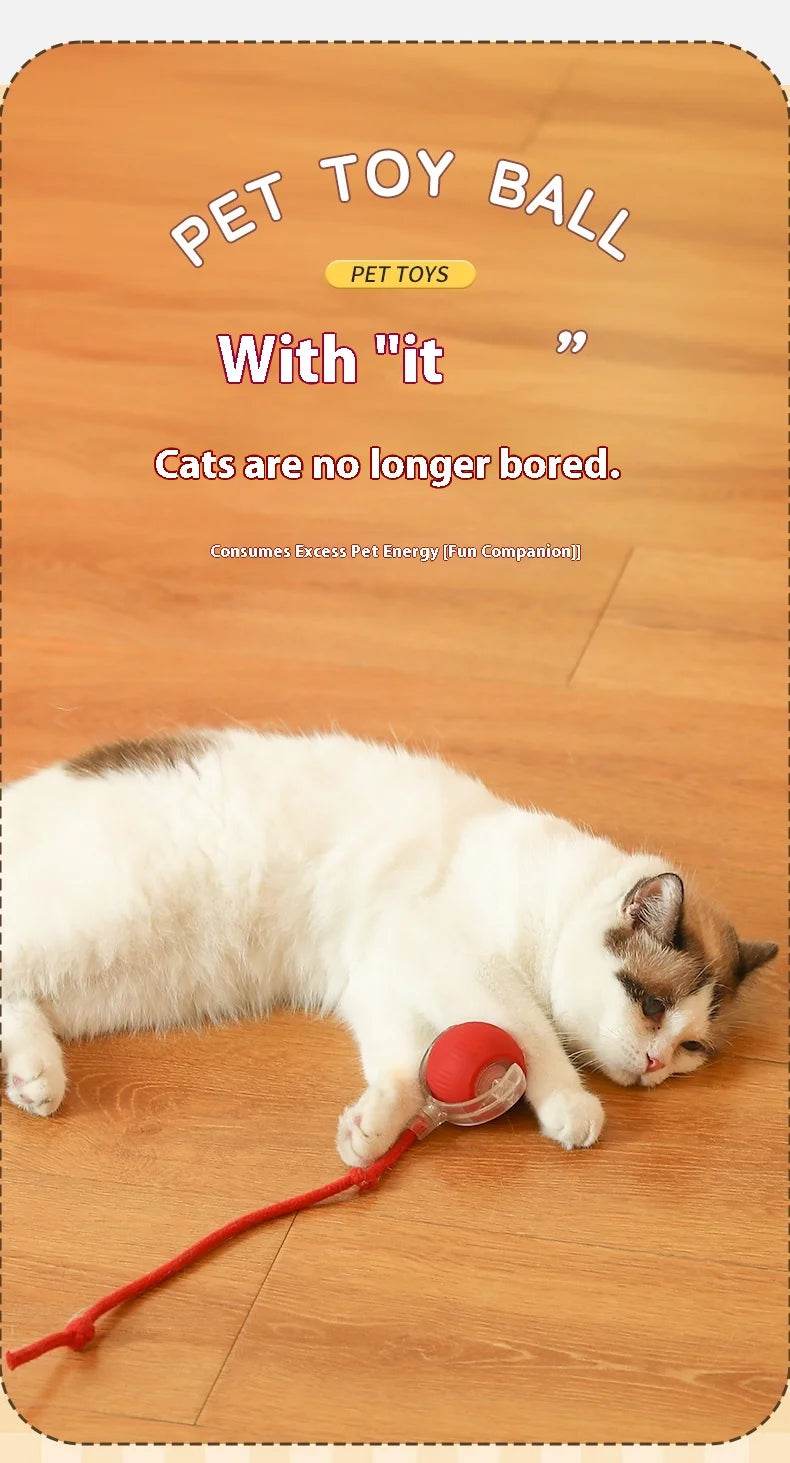 Interactive Cat Toy - Automatic Rolling Ball with Faux Tail - ZOOMNSTORE