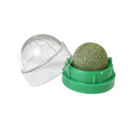 Catnip Wall Ball Toy - Natural Scratchers  Digestion Treats - ZOOMNSTORE