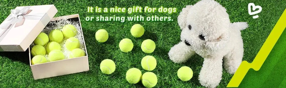 A Tennis Balls for Dogs, 2-Inch Size, Compatible with Most Automatic Ball Launchers Idea for Small Dogs(12 Balls Only)