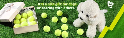 A Tennis Balls for Dogs, 2-Inch Size, Compatible with Most Automatic Ball Launchers Idea for Small Dogs(12 Balls Only)