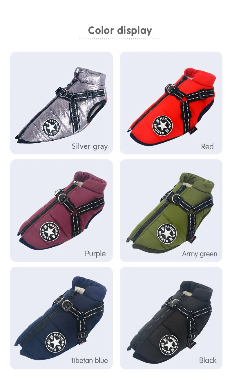 ZOOMNSTORE
