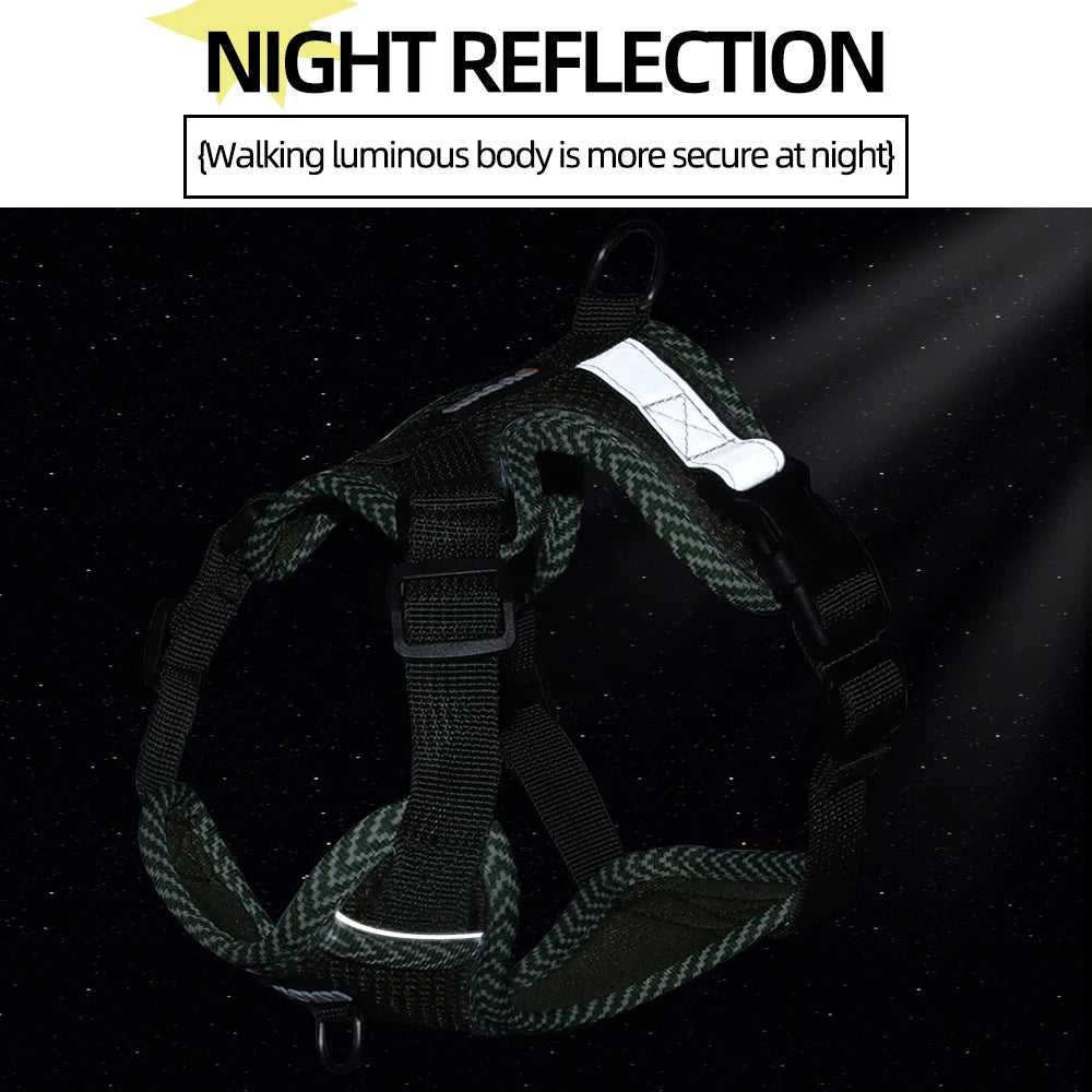 Breathable Reflective Dog Harness for Small Medium Dogs Cats Patterned Comfortable Adjustable Pet Vest with Leash