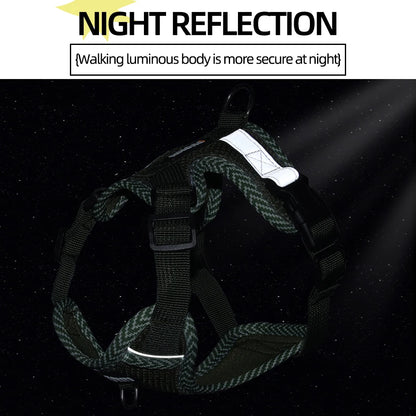 Breathable Reflective Dog Harness for Small Medium Dogs Cats Patterned Comfortable Adjustable Pet Vest with Leash