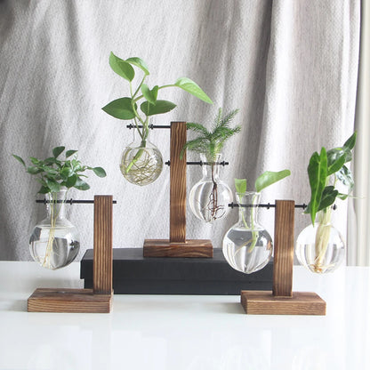 Glass Desktop Planter with Wooden Stand - Hydroponic Bulb Vase for Home Decor