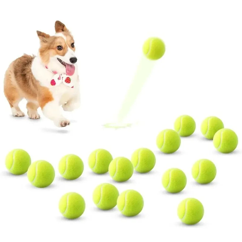 A Tennis Balls for Dogs, 2-Inch Size, Compatible with Most Automatic Ball Launchers Idea for Small Dogs(12 Balls Only)