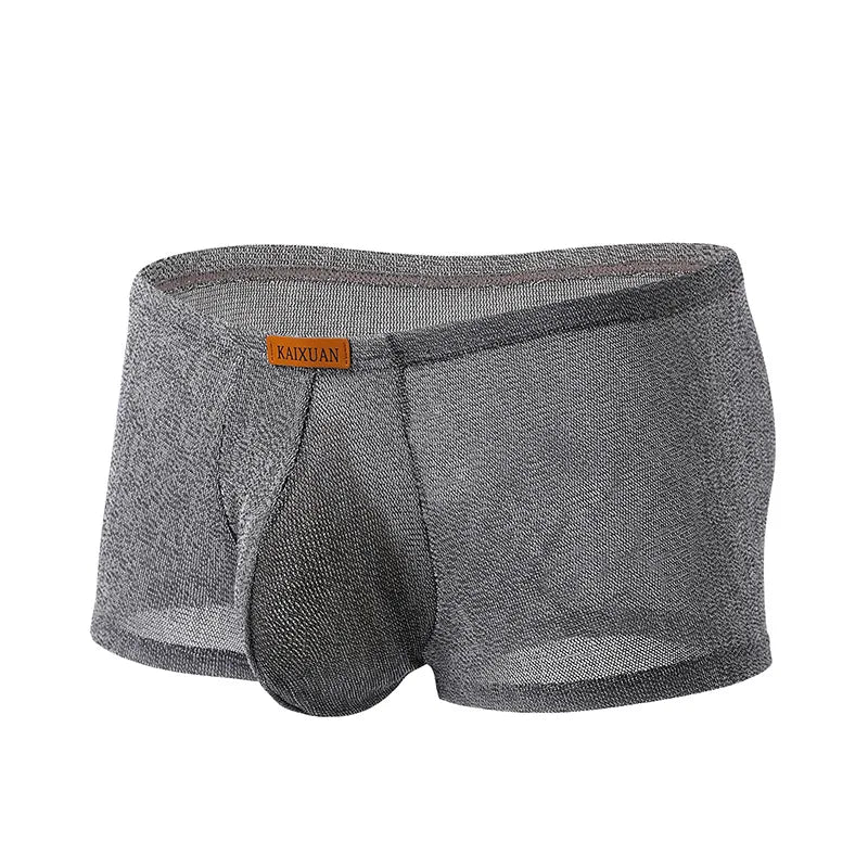 Men's Ice Silk Mesh Boxer Briefs Ultra-thin Breathable Cool Quick Dry Underwear Soft Comfortable Panties for Summer Daily Wear